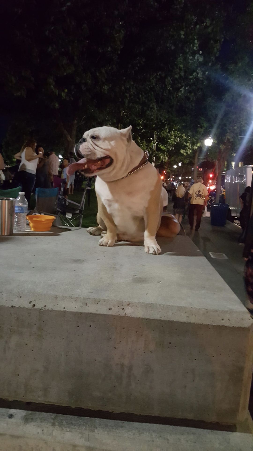 Senor Chapo